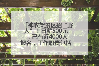 神农架景区招“野人”！日薪500元，已有近4000人报名，工作职责包括“接受游客投喂”