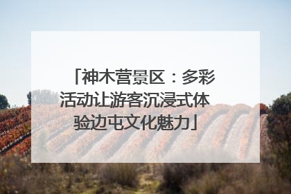 神木营景区：多彩活动让游客沉浸式体验边屯文化魅力