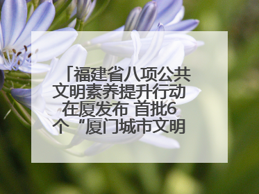 福建省八项公共文明素养提升行动在厦发布 首批6个“厦门城市文明观察点”授牌