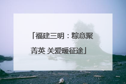 福建三明：粽意聚菁英 关爱暖征途