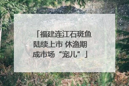 福建连江石斑鱼陆续上市 休渔期成市场“宠儿”