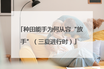 种田能手为何从容“放手”（三夏进行时）