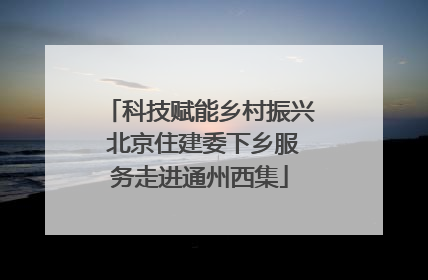 科技赋能乡村振兴 北京住建委下乡服务走进通州西集