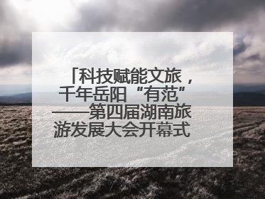 科技赋能文旅，千年岳阳“有范”——第四届湖南旅游发展大会开幕式暨文化旅游推介会侧记