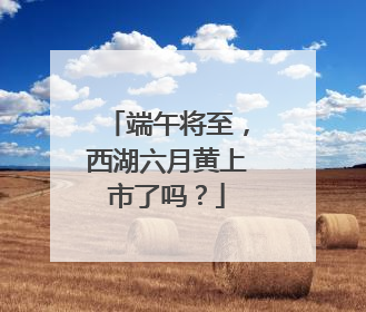 端午将至，西湖六月黄上市了吗？