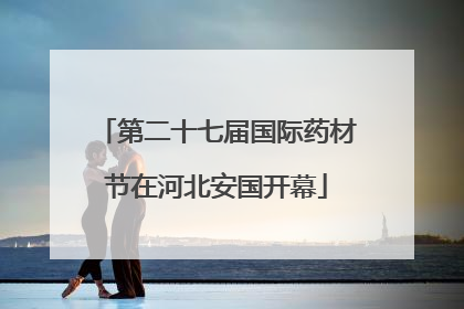 第二十七届国际药材节在河北安国开幕