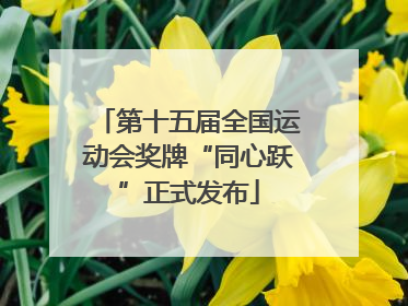第十五届全国运动会奖牌“同心跃”正式发布