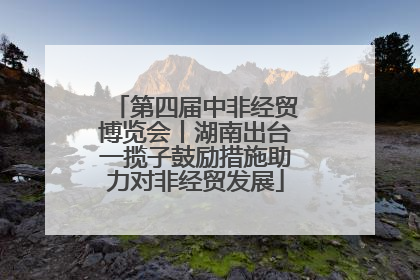 第四届中非经贸博览会丨湖南出台一揽子鼓励措施助力对非经贸发展