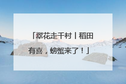 翠花走千村丨稻田有喜，螃蟹来了！