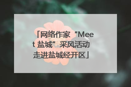 网络作家“Meet 盐城”采风活动走进盐城经开区