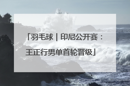 羽毛球｜印尼公开赛：王正行男单首轮晋级
