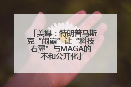 美媒：特朗普马斯克“闹崩”让“科技右翼”与MAGA的不和公开化