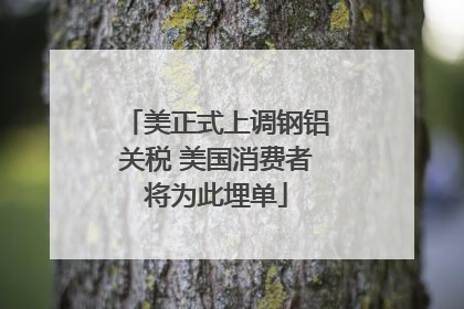 美正式上调钢铝关税 美国消费者将为此埋单