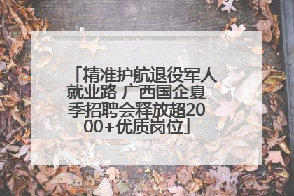 精准护航退役军人就业路 广西国企夏季招聘会释放超2000+优质岗位