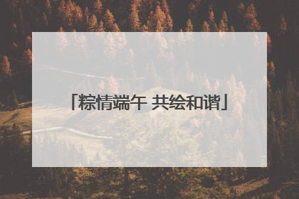 粽情端午 共绘和谐