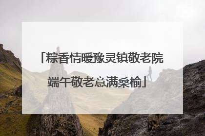 粽香情暖豫灵镇敬老院 端午敬老意满桑榆