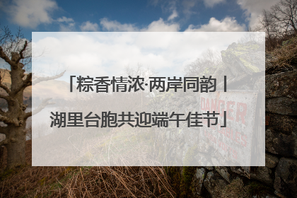 粽香情浓·两岸同韵丨湖里台胞共迎端午佳节