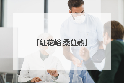 红花峪 桑葚熟