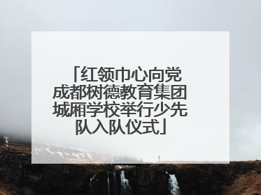 红领巾心向党 成都树德教育集团城厢学校举行少先队入队仪式