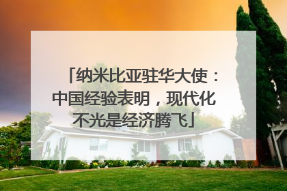 纳米比亚驻华大使：中国经验表明，现代化不光是经济腾飞
