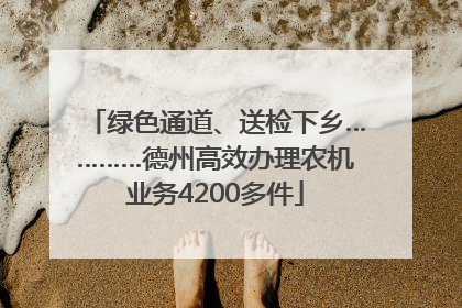 绿色通道、送检下乡…………德州高效办理农机业务4200多件