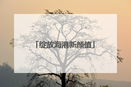 绽放海港新颜值