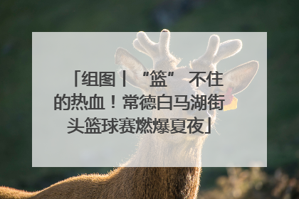 组图丨“篮” 不住的热血！常德白马湖街头篮球赛燃爆夏夜