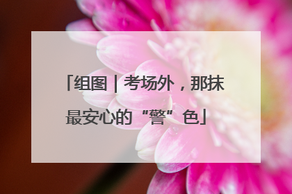 组图｜考场外，那抹最安心的“警”色