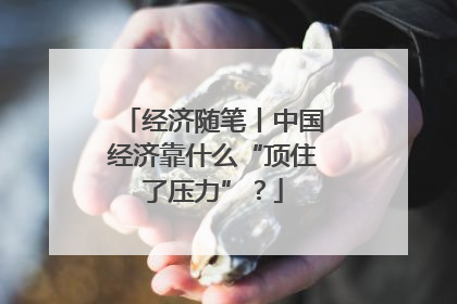 经济随笔丨中国经济靠什么“顶住了压力”？