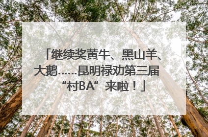 继续奖黄牛、黑山羊、大鹅……昆明禄劝第三届“村BA”来啦！