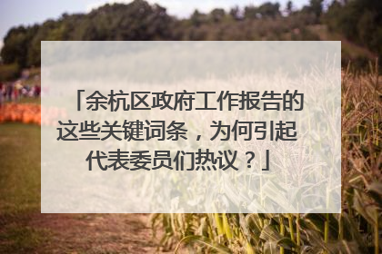 余杭区政府工作报告的这些关键词条，为何引起代表委员们热议？