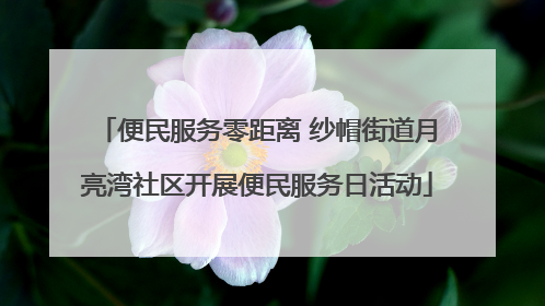便民服务零距离 纱帽街道月亮湾社区开展便民服务日活动