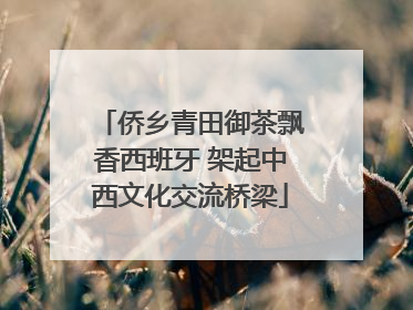 侨乡青田御茶飘香西班牙 架起中西文化交流桥梁