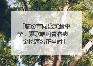 临汾市同盛实验中学：骊歌唱响青春志 金榜题名正当时