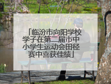 临汾市向阳学校学子在第二届市中小学生运动会田径赛中喜获佳绩