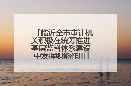 临沂全市审计机关积极在统筹推进基层监督体系建设中发挥职能作用