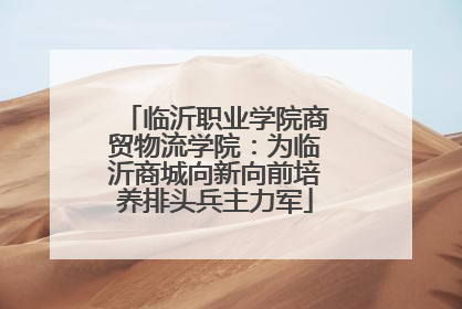 临沂职业学院商贸物流学院：为临沂商城向新向前培养排头兵主力军