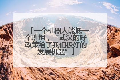 一个机器人能抵一个班组，“武汉的好政策给了我们极好的发展机遇”