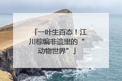 一叶生百态！江川棕编非遗里的“动物世界”