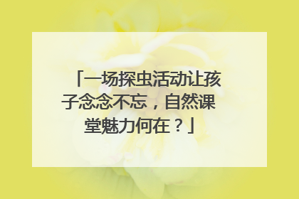 一场探虫活动让孩子念念不忘，自然课堂魅力何在？