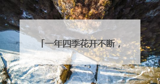 一年四季花开不断，三阳路“垂江绿廊”升级为“垂江花廊”