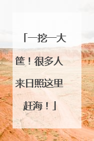 一挖一大筐！很多人来日照这里赶海！