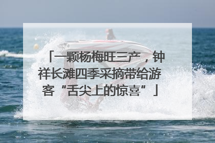 一颗杨梅旺三产，钟祥长滩四季采摘带给游客“舌尖上的惊喜”