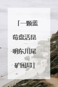 一颗蓝莓盘活昆明东川尾矿困局