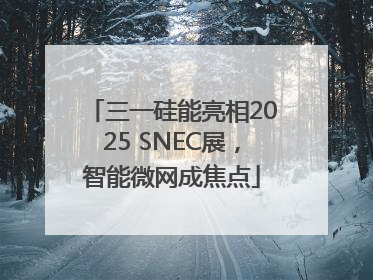 三一硅能亮相2025 SNEC展，智能微网成焦点