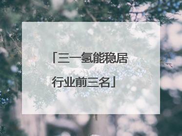 三一氢能稳居行业前三名