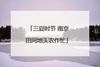 三夏时节 南京田间地头农作忙