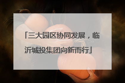 三大园区协同发展，临沂城投集团向新而行
