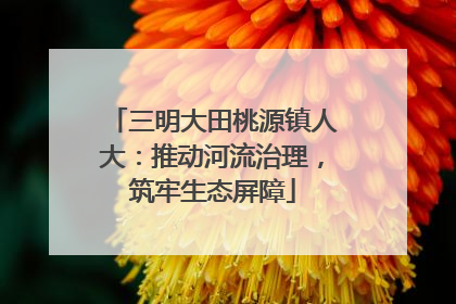 三明大田桃源镇人大：推动河流治理，筑牢生态屏障