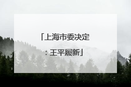 上海市委决定：王平履新